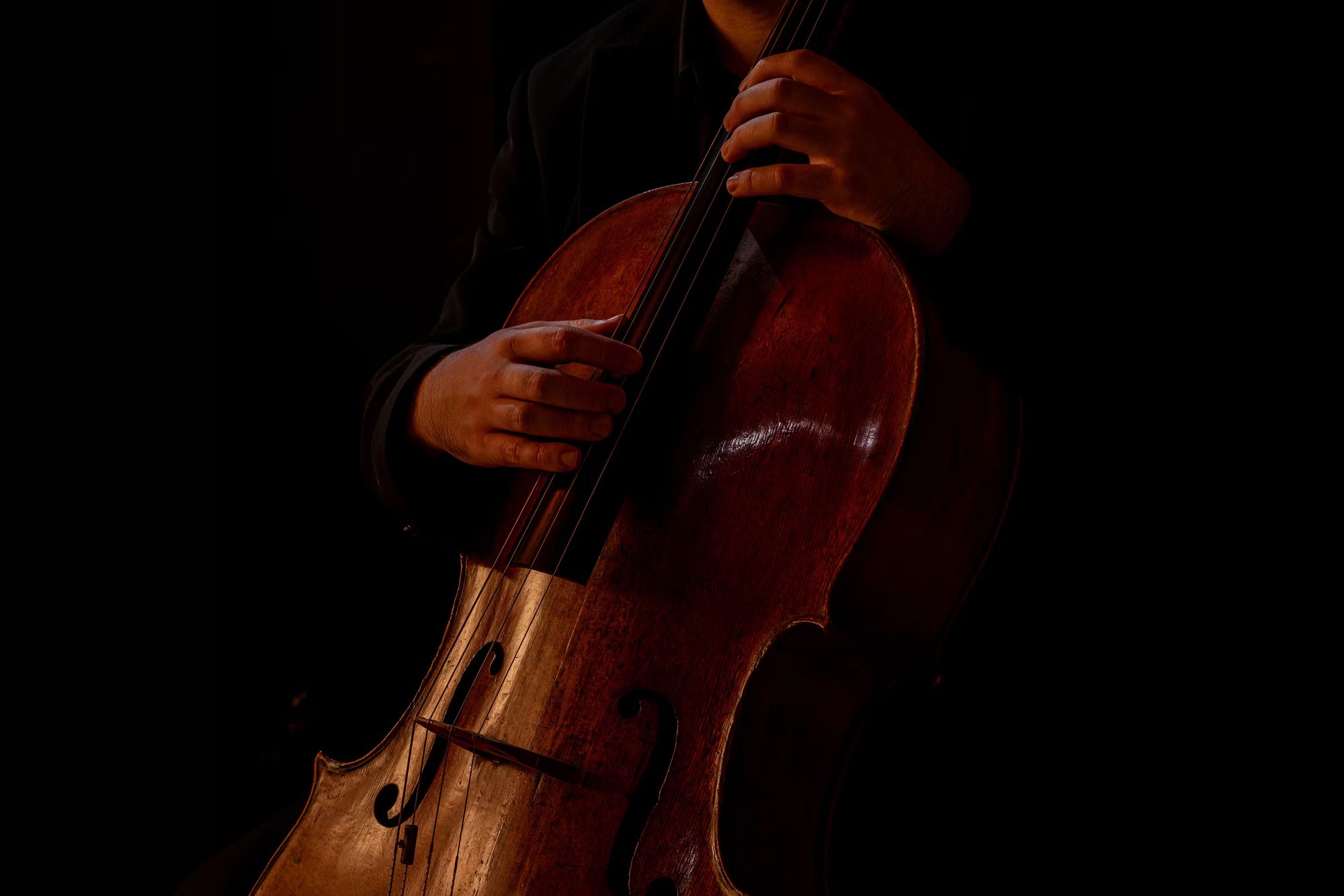 Spitfire Audio - Abbey Road Orchestra: Cellos Professional Screenshot 3