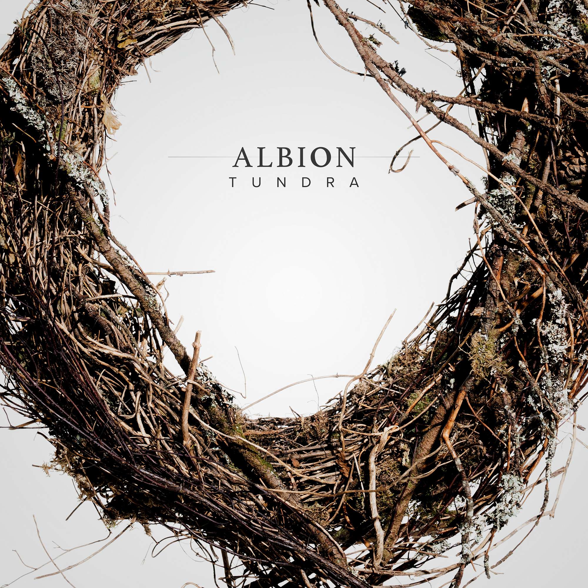 Spitfire Audio - Albion Tundra Kontakt Instruments Software GUI Artwork