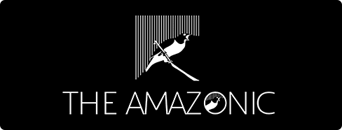 The Amazonic Logo