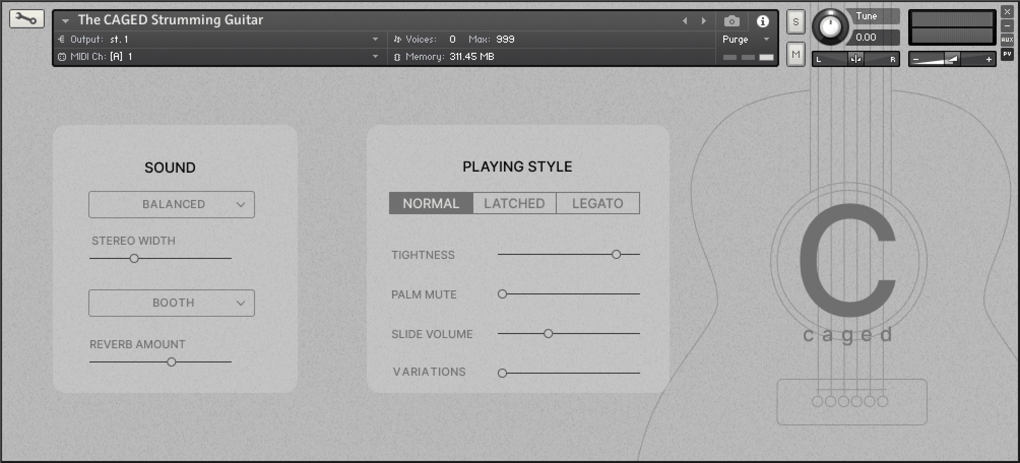 Thinking Willow Sounds - The CAGED Strumming Guitar Kontakt Instruments Software GUI Artwork