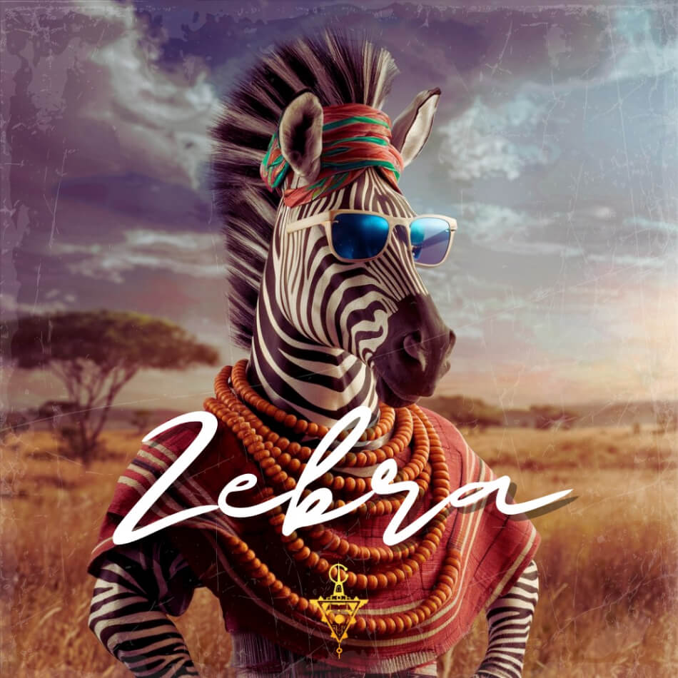Thursday Koolshit - Zebra - Amapiano & Afrobeats Guitars Sample Packs Software GUI Artwork