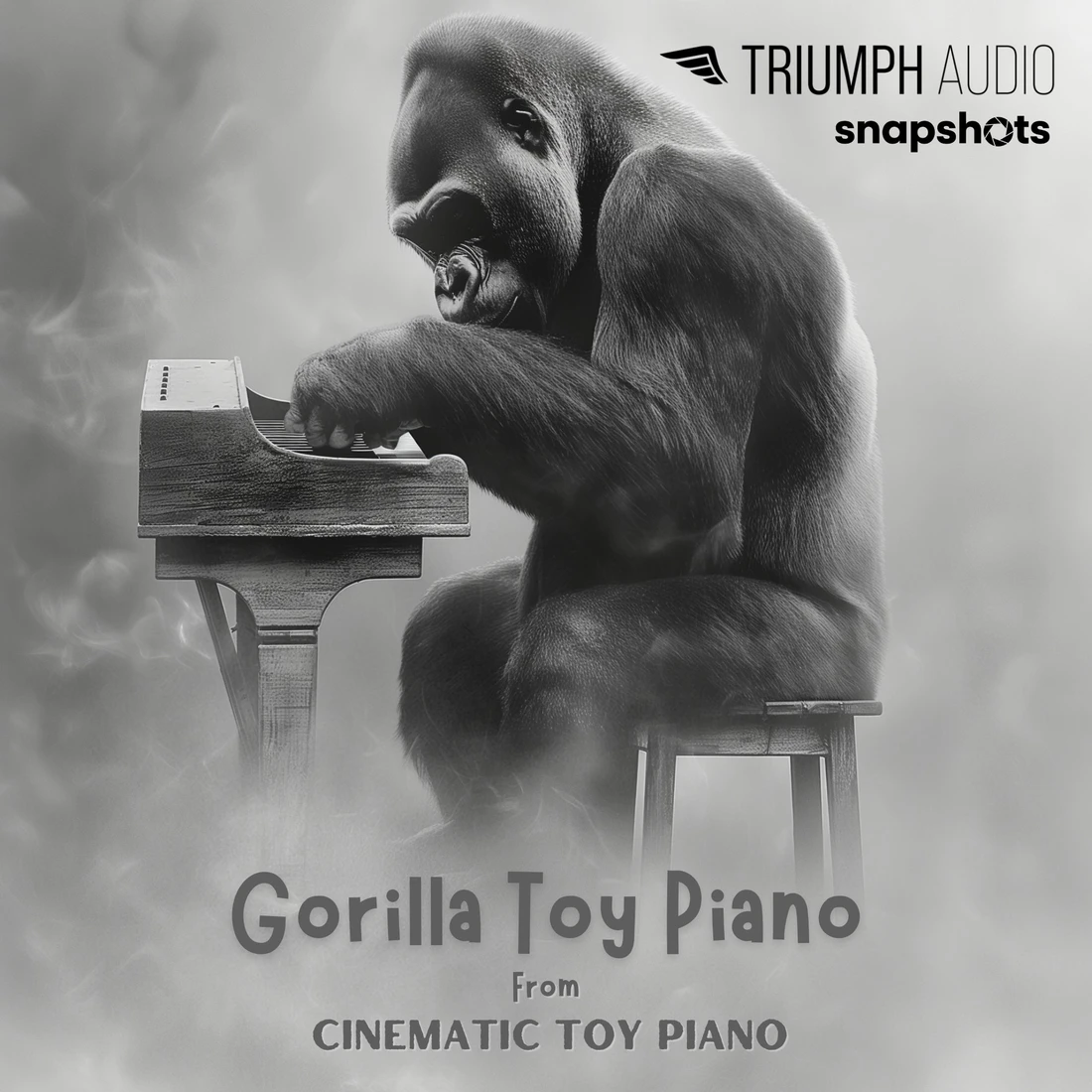 Triumph Audio - Gorilla Toy Piano Kontakt Instruments Software GUI Artwork