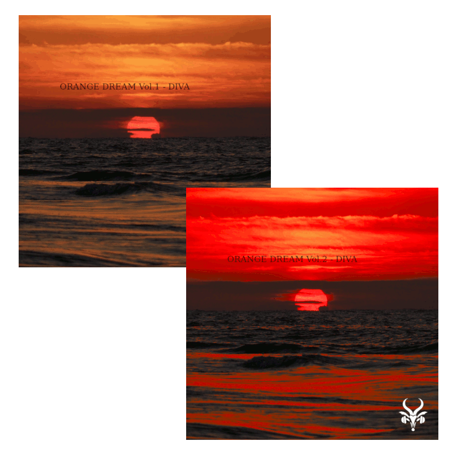 Vicious Antelope - Orange Dream Vol.1 & Vol.2 - DIVA Presets Software GUI Artwork