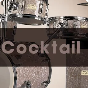 BFD Drums - BFD Cocktail Plugins & FX Software GUI Artwork