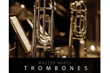 Auddict - Master Brass - Trombones Screenshot 2