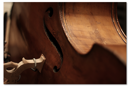 Straight Ahead Samples - Straight Ahead Bass Screenshot 3