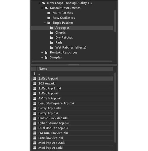New Loops - Analog Duality (Kontakt Synths) Screenshot 2