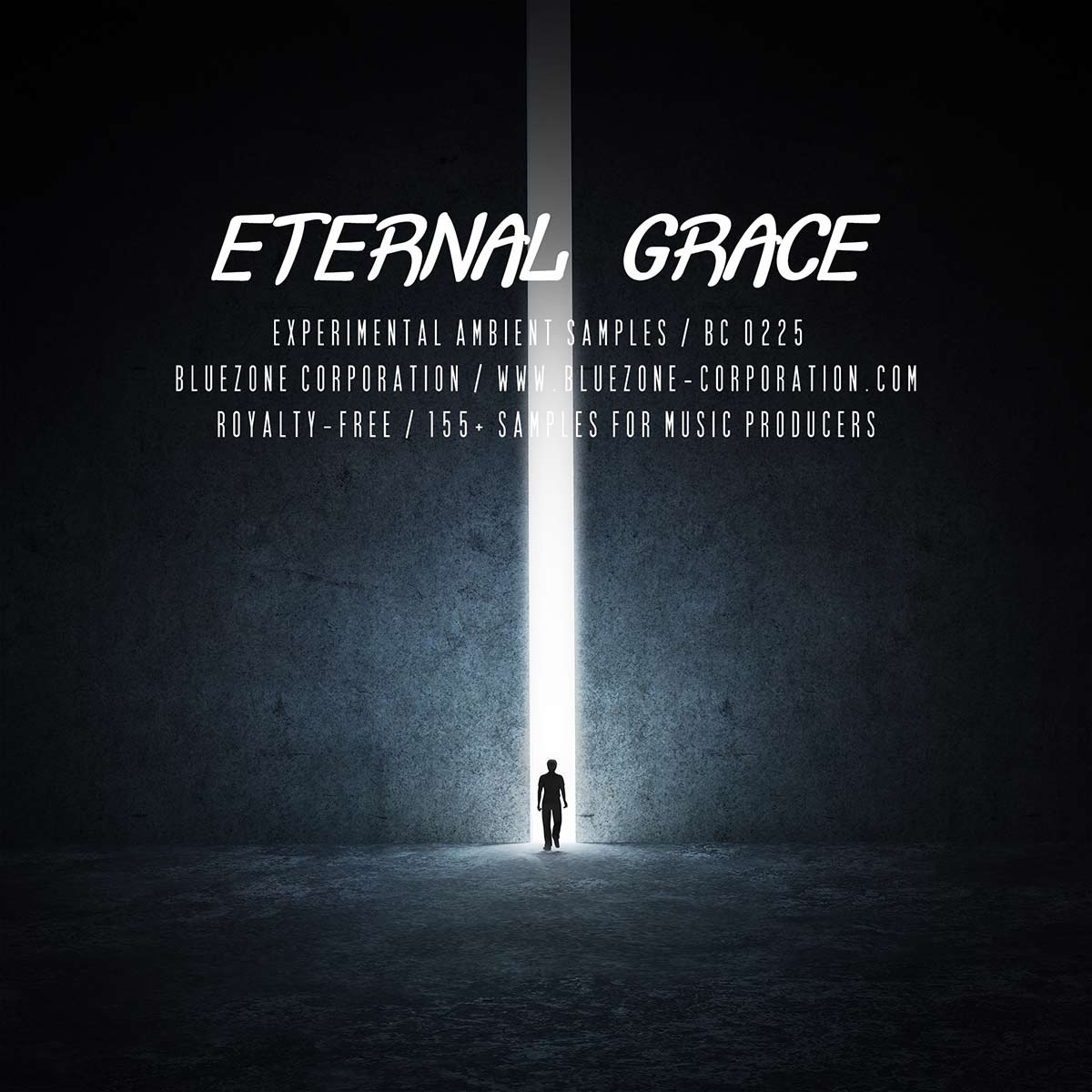 Bluezone Corporation - Eternal Grace Sample Packs Software GUI Artwork