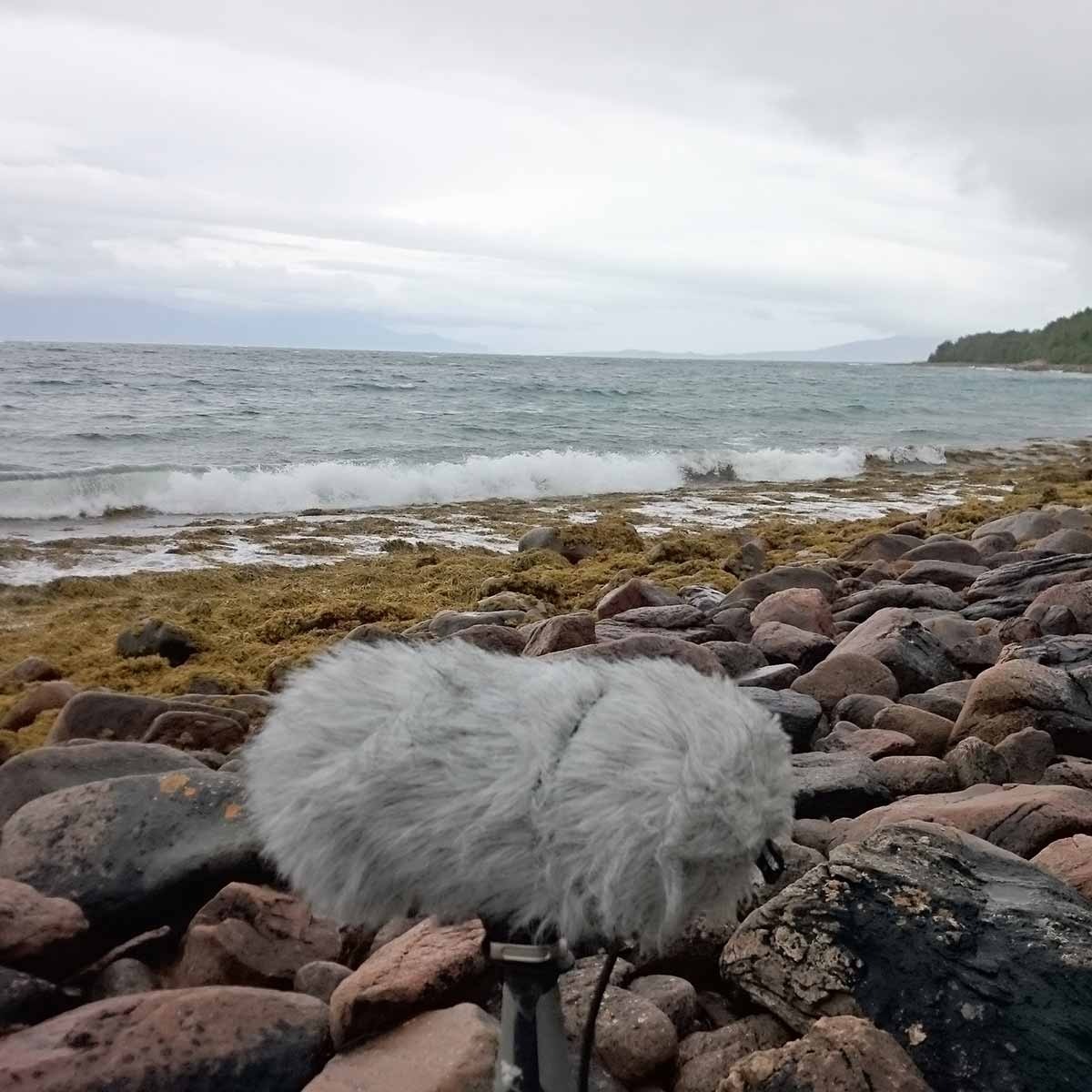 Norsonant - Shores of Senja Sample Packs Software GUI Artwork
