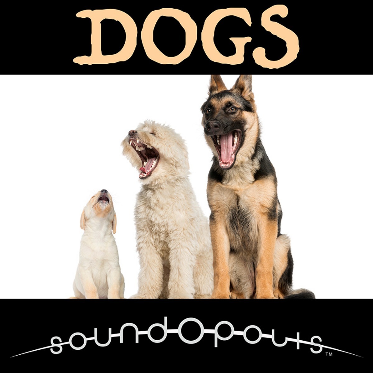 Soundopolis - Dogs Sample Packs Software GUI Artwork