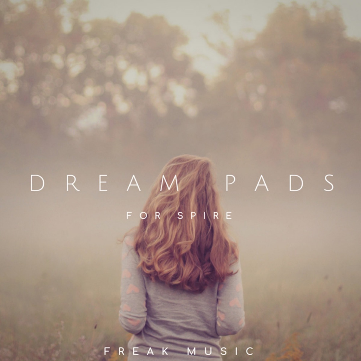 Cloudy Samples - Dream Pads for Spire Presets Software GUI Artwork