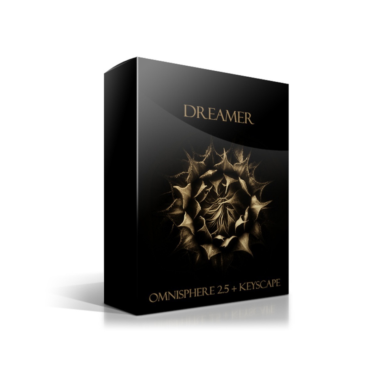 Triple Spiral Audio - Dreamer Presets Software GUI Artwork
