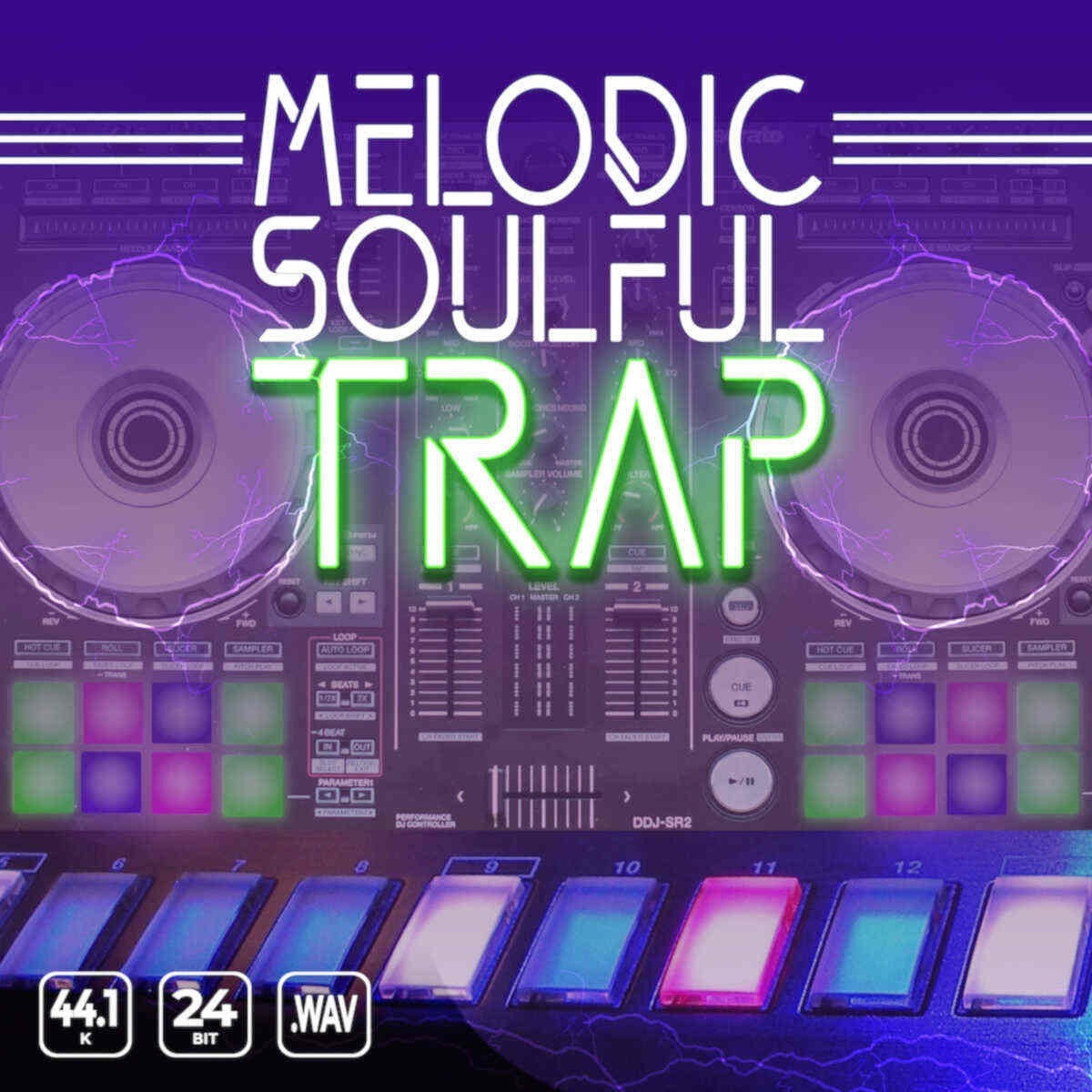 Epic Stock Media - Melodic Soulful Trap Sample Packs Software GUI Artwork