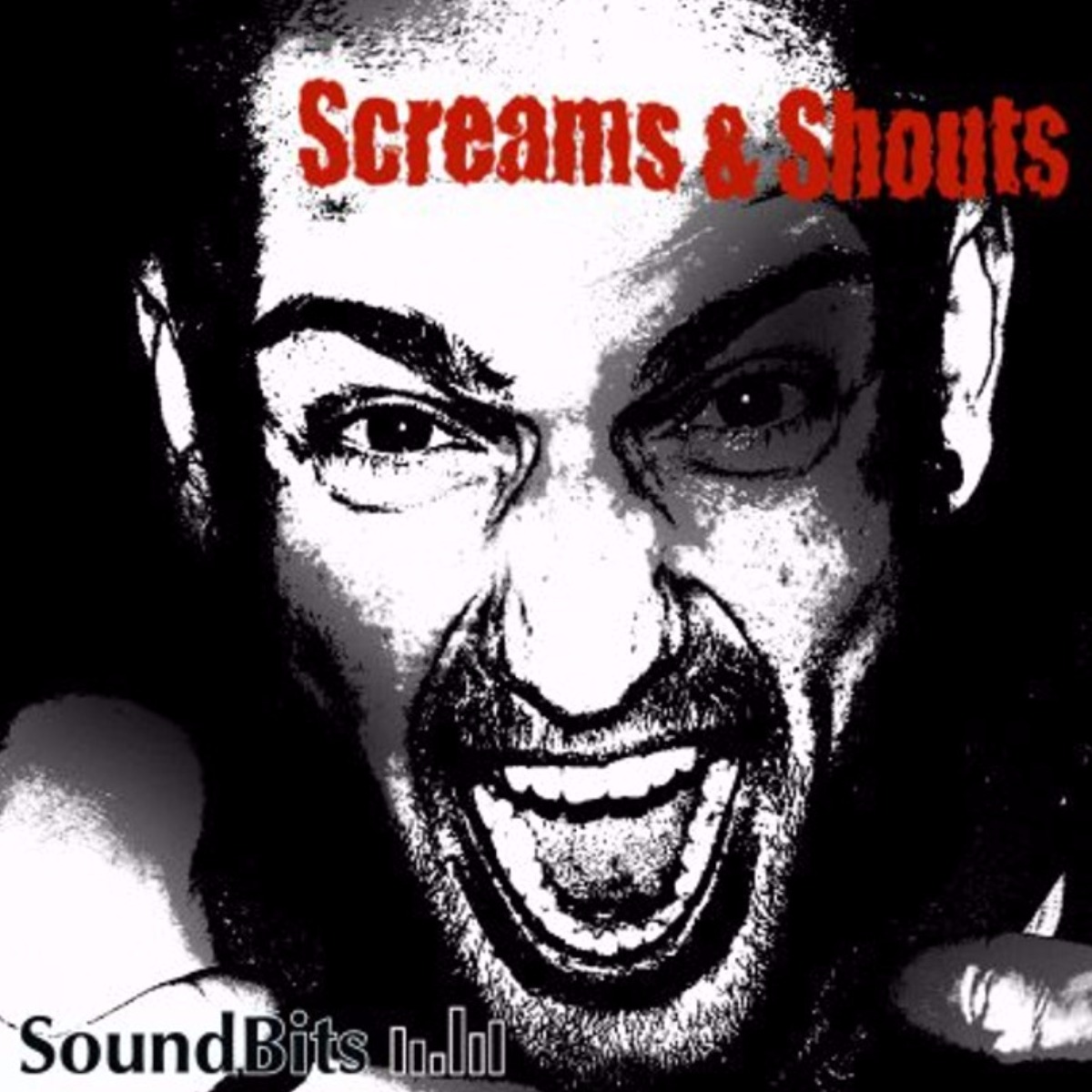 Screams & Shouts