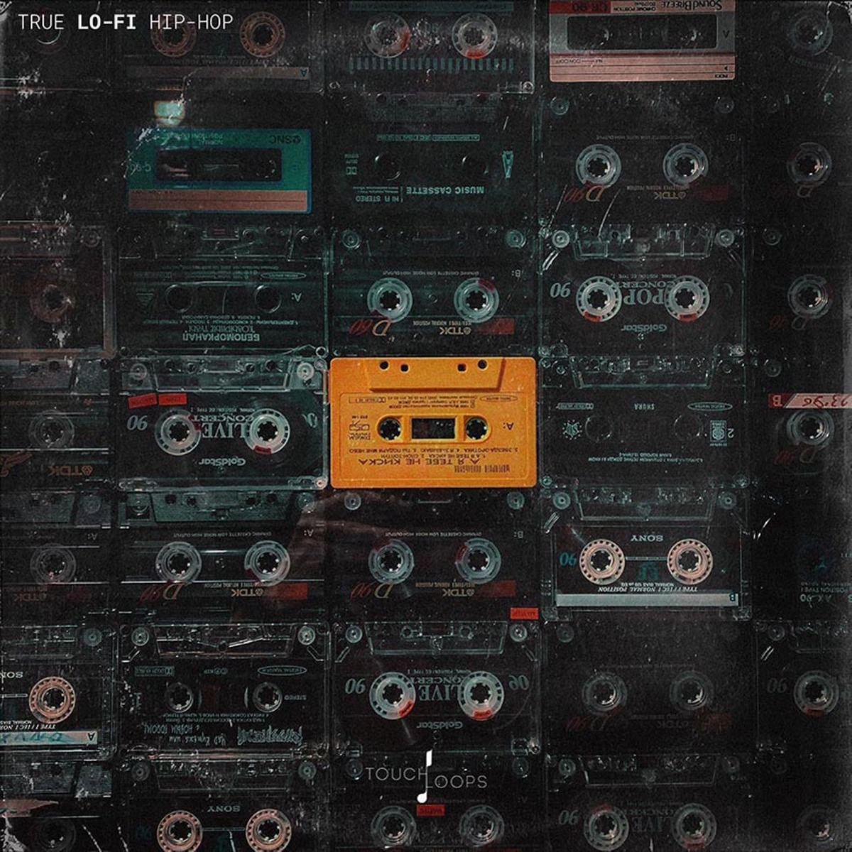 Touch Loops - True Lo-Fi Hip Hop Sample Packs Software GUI Artwork