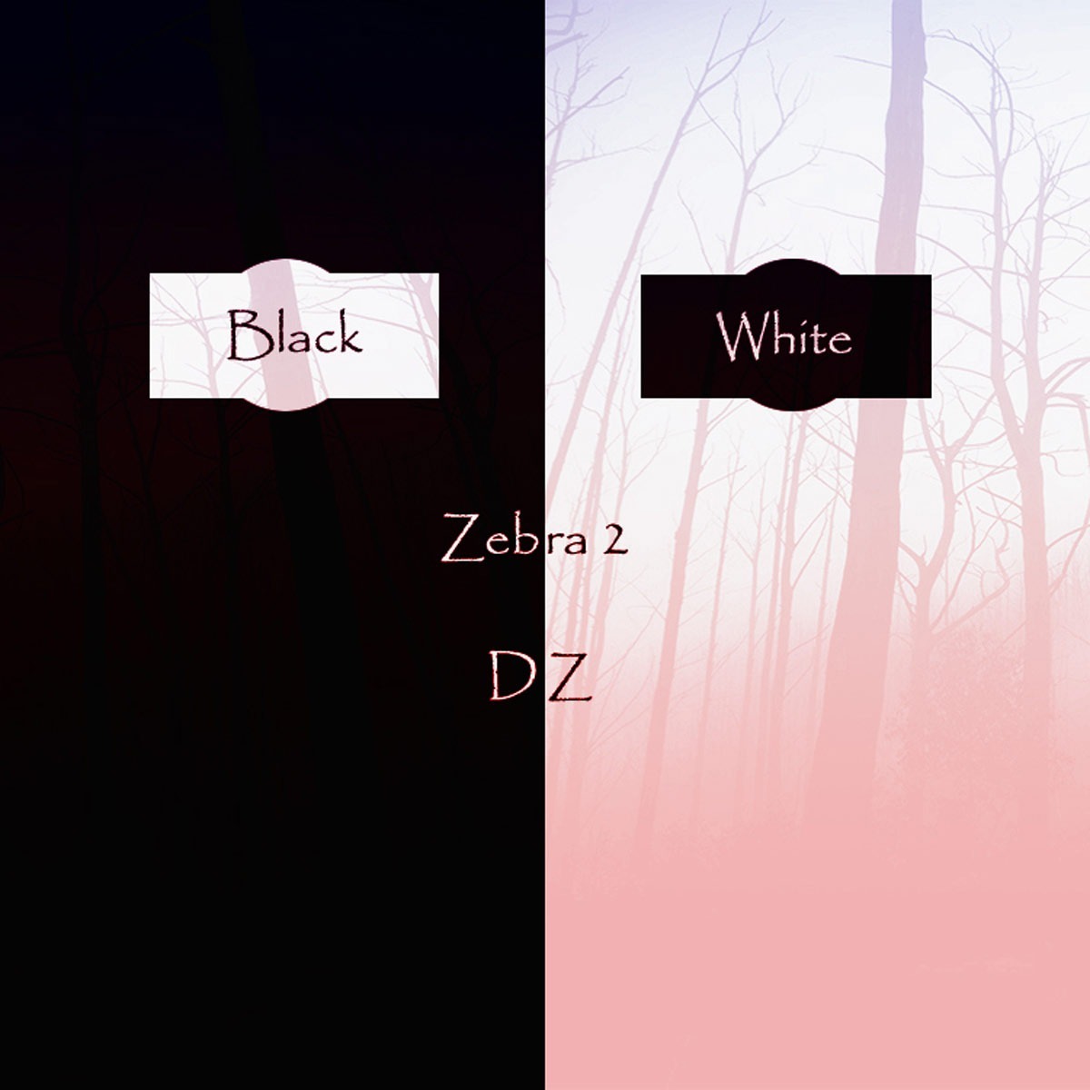 Triple Spiral Audio - Black and White DZ Presets Software GUI Artwork