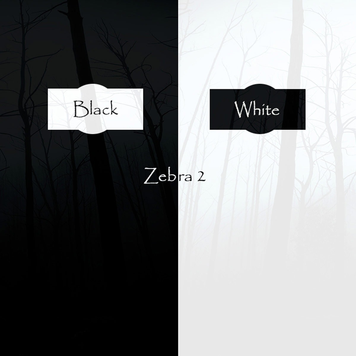 Triple Spiral Audio - Black and White Presets Software GUI Artwork