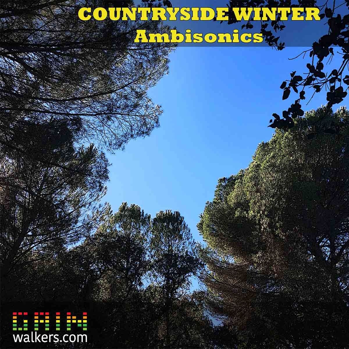 Gain Walkers - Countryside Winter Sample Packs Software GUI Artwork