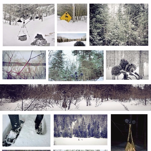 Articulated Sounds - Winter Forest Screenshot 2