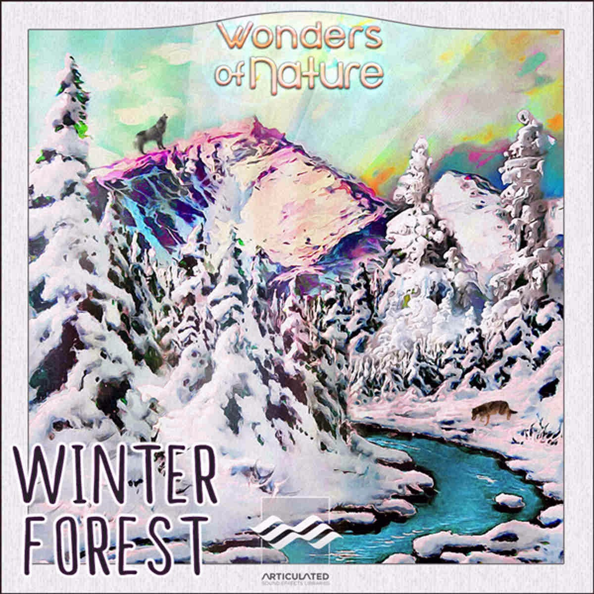 Winter Forest