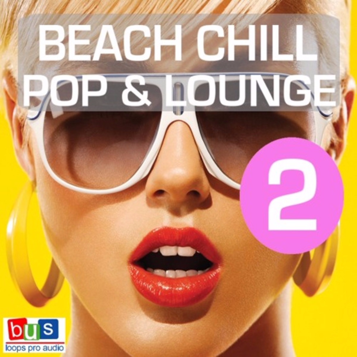 Busloops - Beach Chill Pop & Lounge 2 Sample Packs Software GUI Artwork