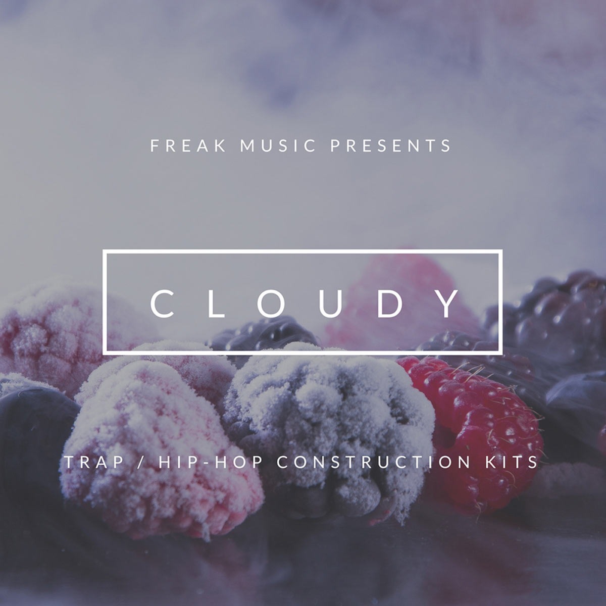 Cloudy Samples - Cloudy Sample Packs Software GUI Artwork