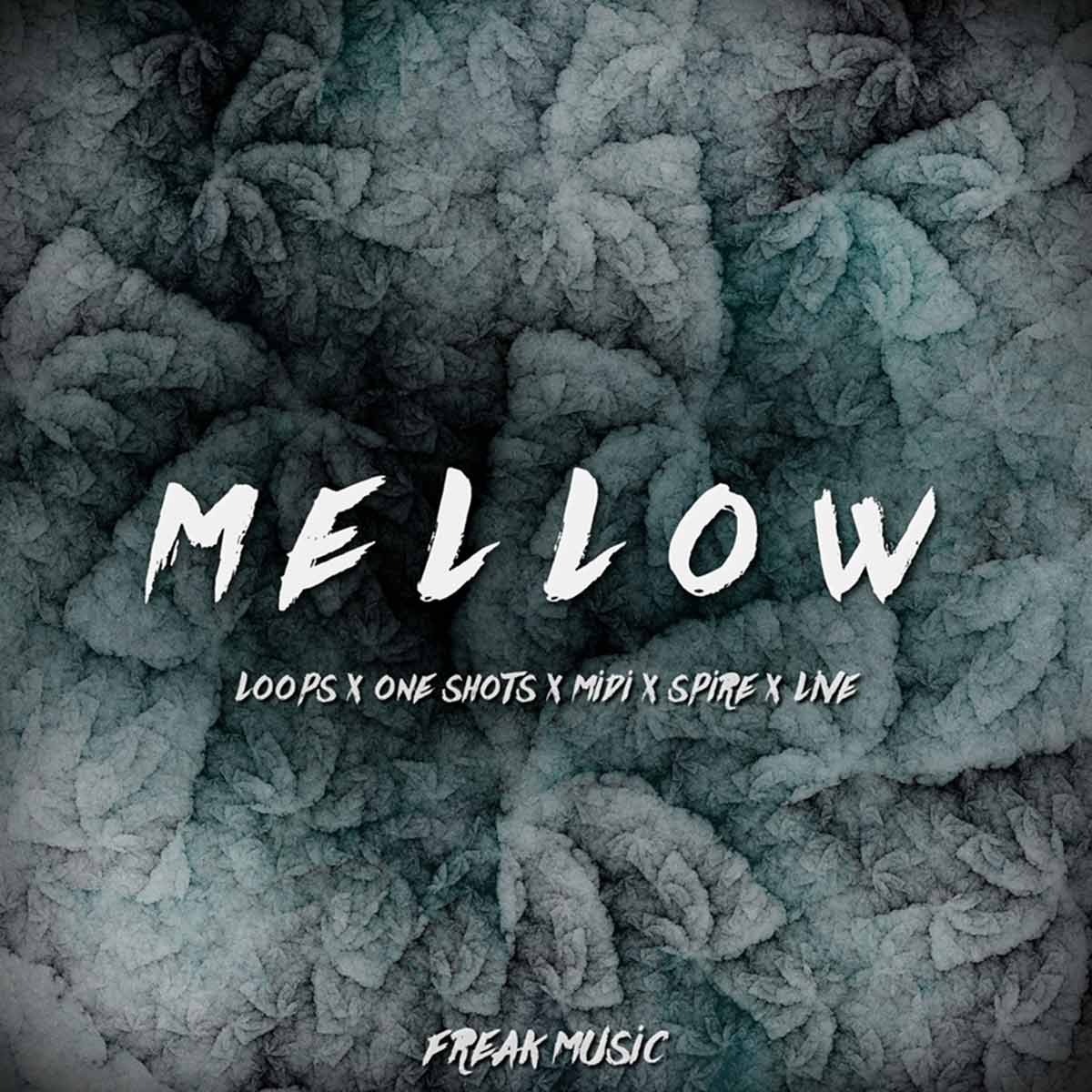 Cloudy Samples - Mellow Sample Packs Software GUI Artwork