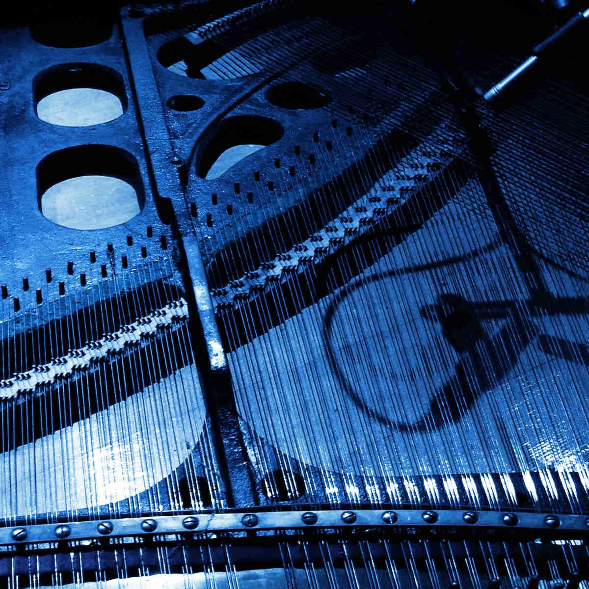 Detunized - Rolfing Laid Back Vol. 2 Sample Packs Software GUI Artwork