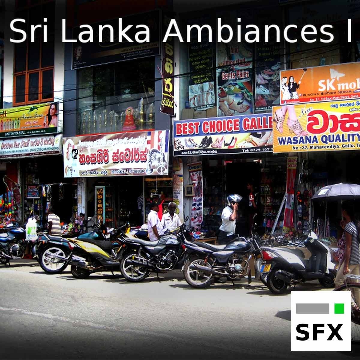 Hzandbits - Sri Lanka Ambiences Sample Packs Software GUI Artwork