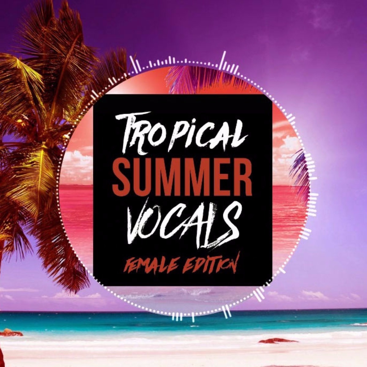 HighLife Samples - Tropical Summer Vocals - Female Edition Sample Packs Software GUI Artwork