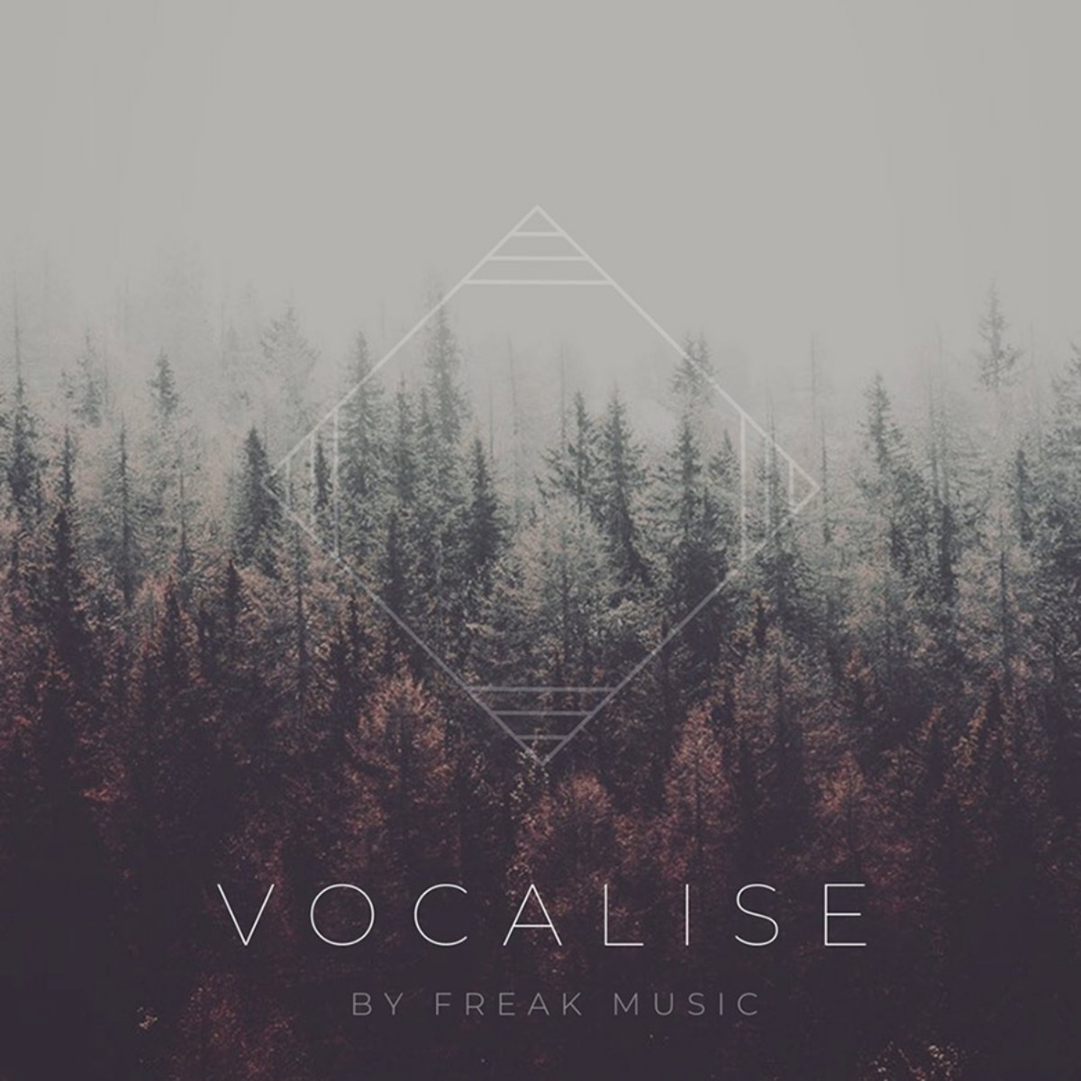 Cloudy Samples - Vocalise Sample Packs Software GUI Artwork