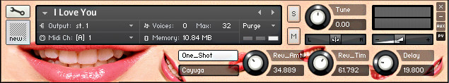 Noisy Michael - I Love You - Project Kontakt Instruments Software GUI Artwork