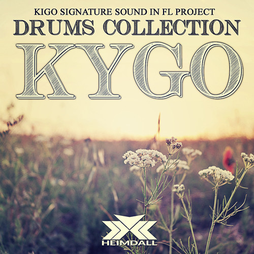 Black Creature - KYGO DRUMS and SIGNATURE SOUND Sample Packs Software GUI Artwork