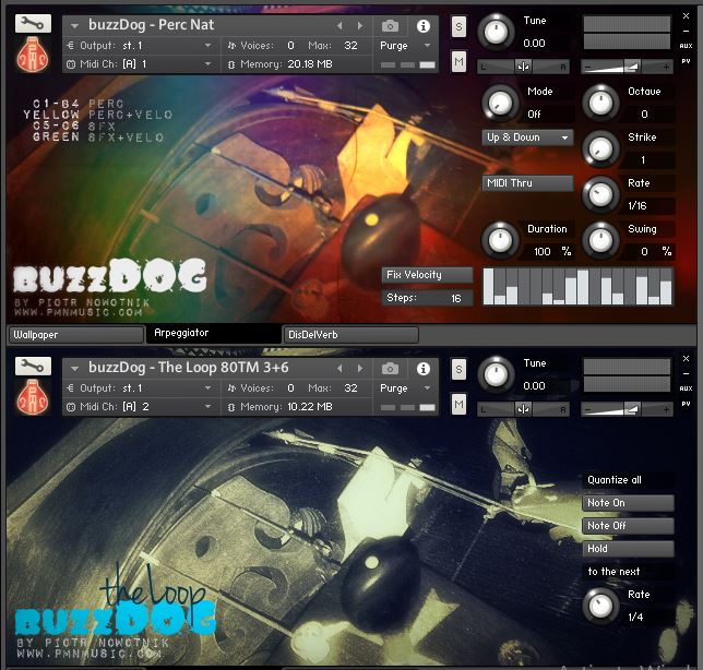 Piotr Nowotnik - Lira Korbowa II - buzzDog Kontakt Instruments Software GUI Artwork
